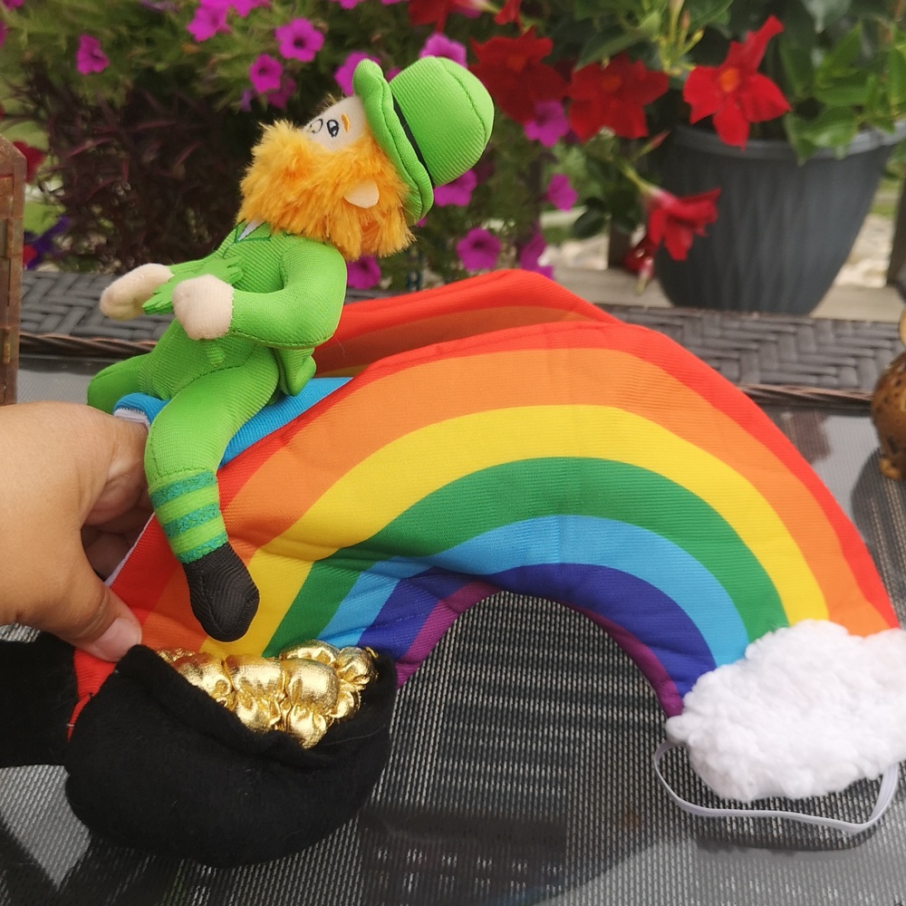 Halloween Small Dog Costume Leprechaun Riding A Rainbow 🌈 FUN See Measurements